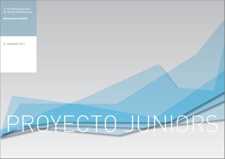 2010_ud_proyectojuniors2