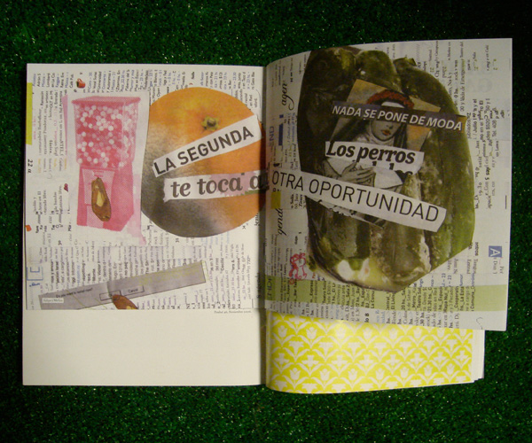 2007 – Pimba #50, 5 years