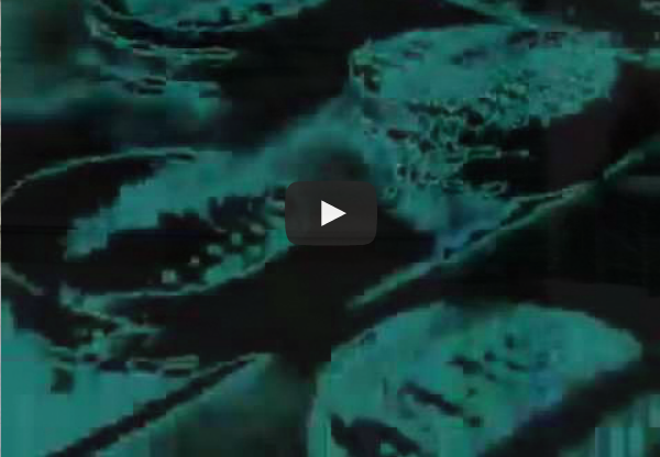 2008 – Disfraz – Video