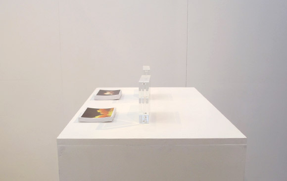 UD_montanasgraficas_umsn_c